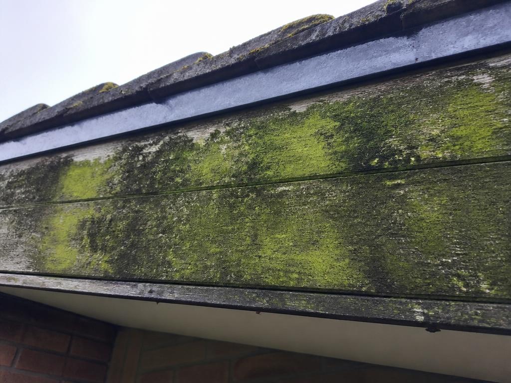 Vuile boeidelen vol groene aanslag voor de reiniging